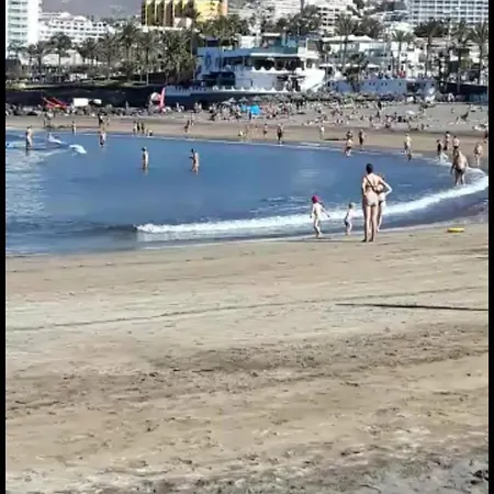 Chill Out Tenerife Sud - Monolocale Con Piscina Riscaldata Costa Del Silencio