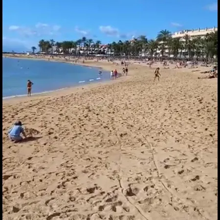 Chill Out Tenerife Sud - Monolocale Con Piscina Riscaldata *