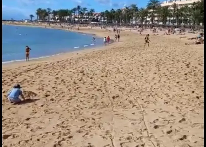 Chill Out Tenerife Sud - Monolocale Con Piscina Riscaldata *